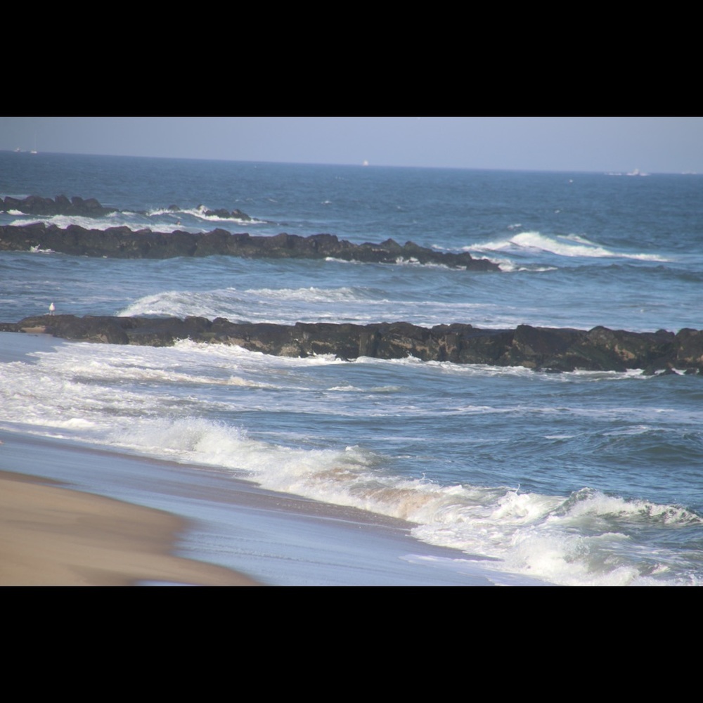 Meet your Posher, Sheila